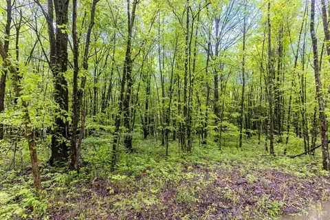 6149 Belfast Rd, Stonelick Twp, OH 45122