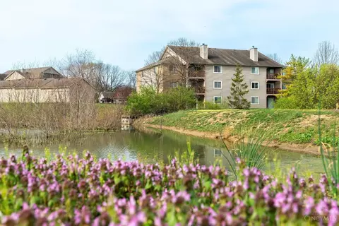 View/Area - 11570 Regency Square Ct, Cincinnati, OH 45231 photo 4 of 4