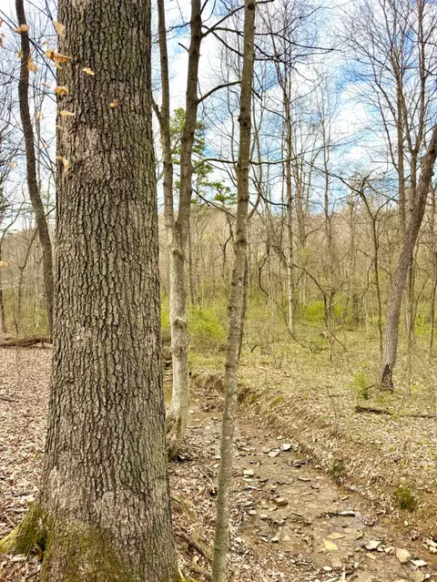 0 Fyffe Holw, Franklin Twp, OH 45601