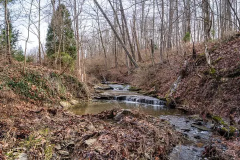 Other - 8425 Kugler Mill Rd, Cincinnati, OH 45243 photo 9 of 10
