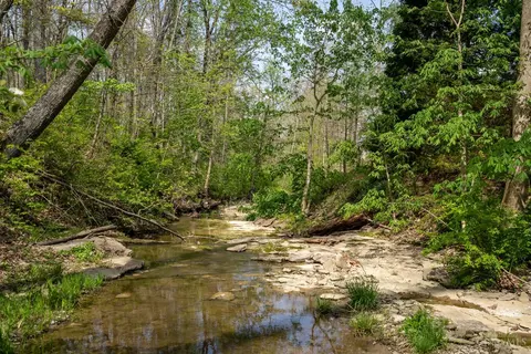 Other - 8425 Kugler Mill Rd, Cincinnati, OH 45243 photo 7 of 10