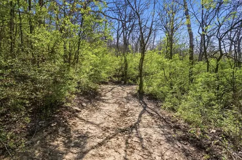 Other - 6453 Strout Rd, Morrow, OH 45152 photo 6 of 11