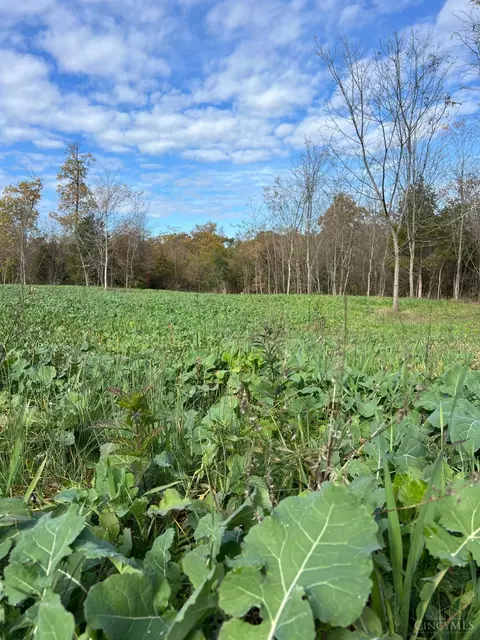 0 Harriett Rd, Marshall Twp, OH 45133