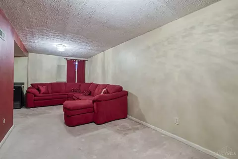 Living - 10152 Timberview Ct, Woodlawn, OH 45215 photo 6 of 6