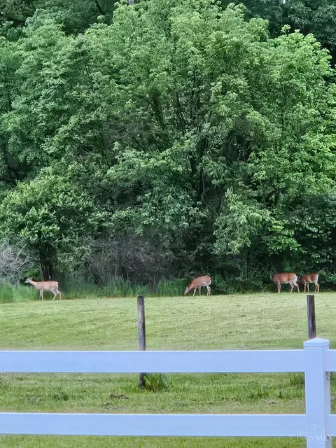 Other - 928 Shawhan Rd, Morrow, OH 45152 photo 6 of 6