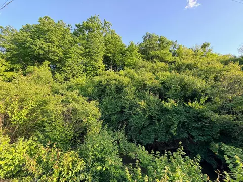 4302 Marcrest Dr, Cincinnati, OH 45211 photo 14