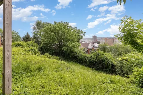 Exterior - 421 Oregon St, Cincinnati, OH 45202 photo 7 of 7