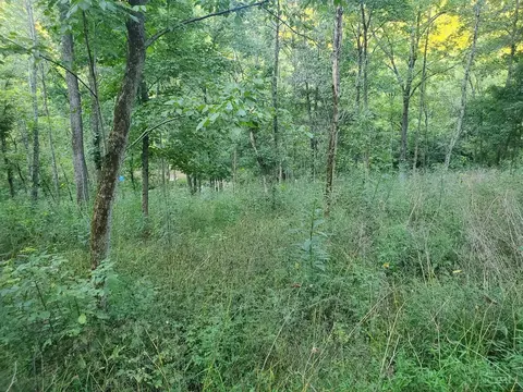 11050 Bond Rd, Whitewater Twp, OH 45030 photo 13