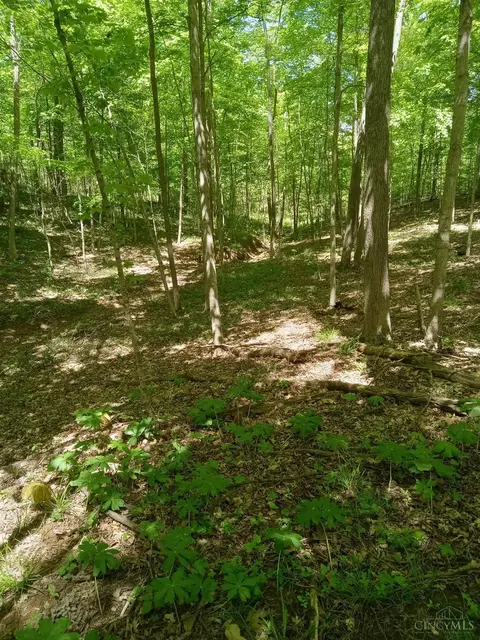 11583 Sinking Spring Rd, Hillsboro, OH 45133