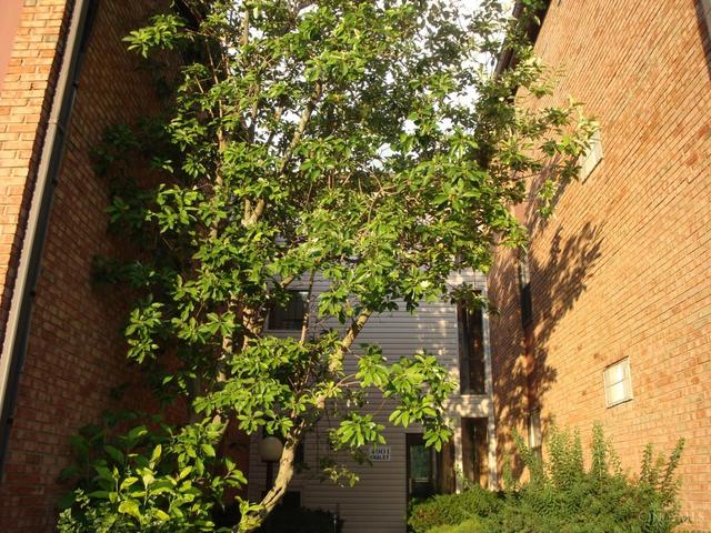 4901 Chalet Dr, Cincinnati, OH 45217