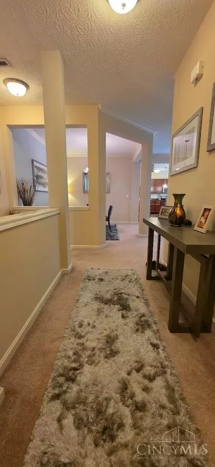 Entry Way - 1002 Lost Xing, Cincinnati, OH 45231 photo 5 of 5