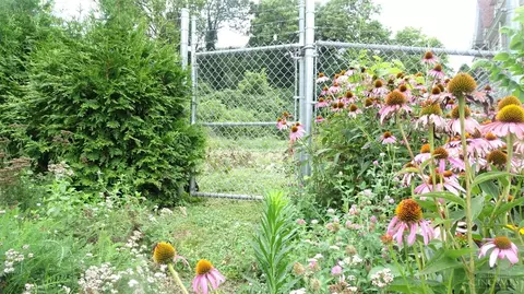 3587 Alaska Ave, Cincinnati, OH 45229