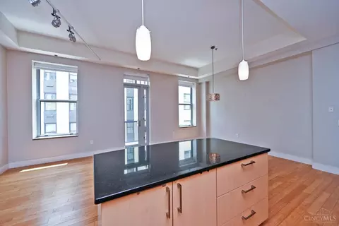 Living - 15 Fourth St, Cincinnati, OH 45202 photo 10 of 14