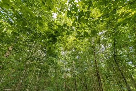 Other - 6560 Mt Unger Rd, Otway, OH 45657 photo 28 of 32