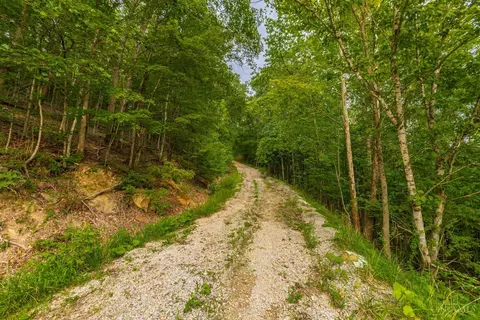 Other - 6560 Mt Unger Rd, Otway, OH 45657 photo 27 of 32