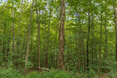 Other - 6560 Mt Unger Rd, Otway, OH 45657 photo 30 of 32