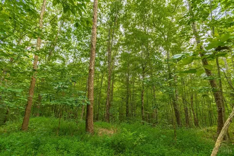 Exterior - 6560 Mt Unger Rd, Otway, OH 45657 photo 15 of 15