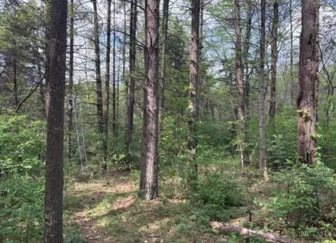 Other - 1000 Locust Rd, Hillsboro, OH 45133 photo 12 of 12