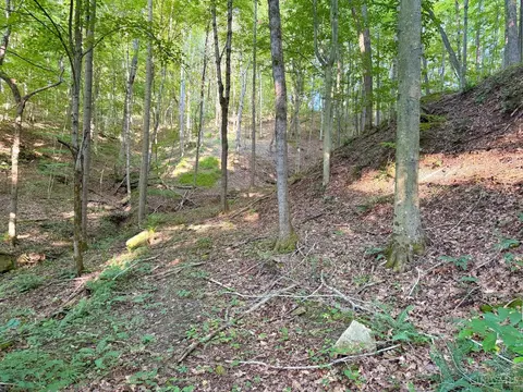 0 Keesee Rd, Morgan Twp, OH 45686 photo 24