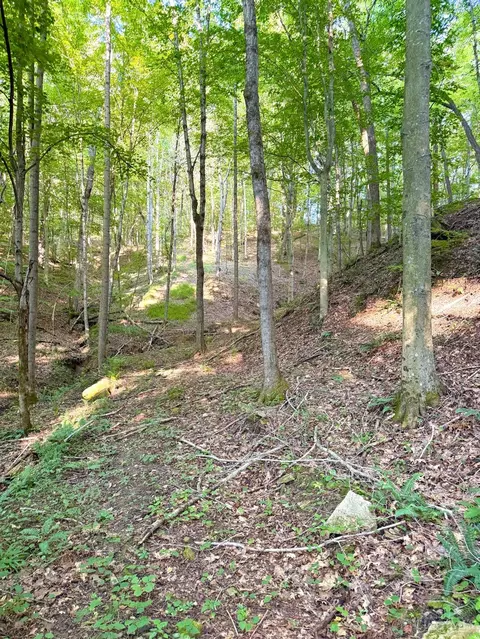 0 Keesee Rd, Morgan Twp, OH 45686 photo 23