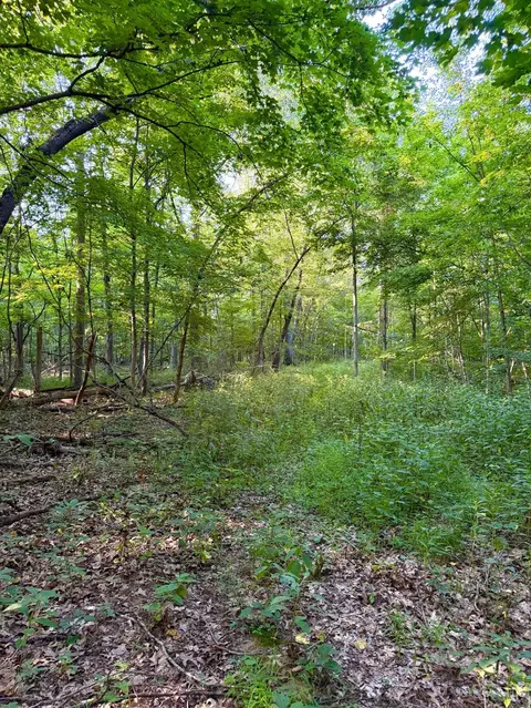 0 Keesee Rd, Morgan Twp, OH 45686 photo 27