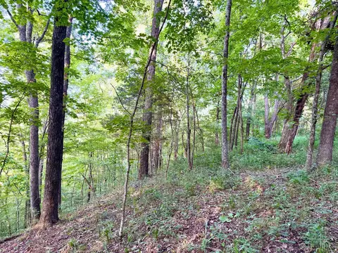 0 Keesee Rd, Morgan Twp, OH 45686 photo 45