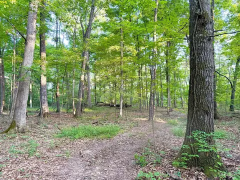 0 Keesee Rd, Morgan Twp, OH 45686 photo 20