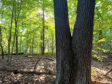 0 Keesee Rd, Morgan Twp, OH 45686 photo 29