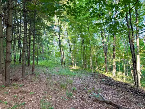 0 Keesee Rd, Morgan Twp, OH 45686 photo 42