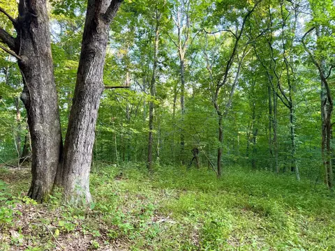 0 Keesee Rd, Morgan Twp, OH 45686 photo 40