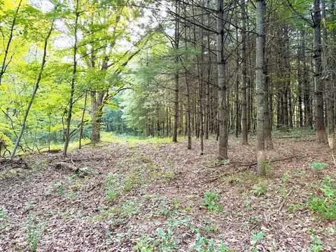0 Keesee Rd, Morgan Twp, OH 45686 photo 52