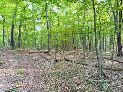 0 Keesee Rd, Morgan Twp, OH 45686 photo 67