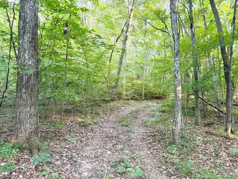 0 Keesee Rd, Morgan Twp, OH 45686 photo 61
