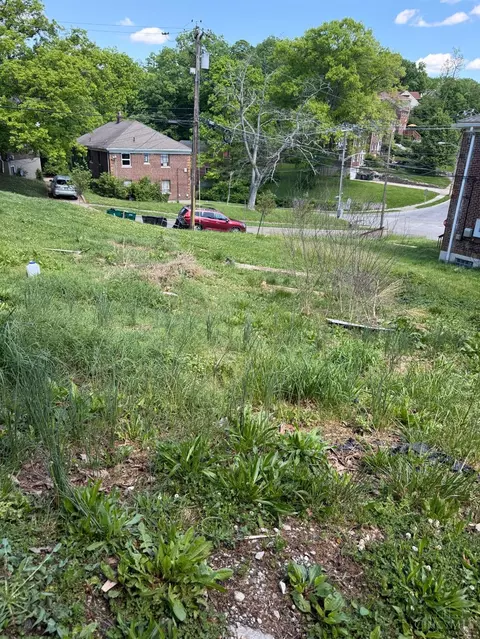 3111 Bracken Woods Ln, Cincinnati, OH 45211 photo 4