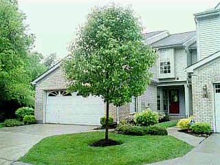 9731 Troon Ct, Blue Ash, OH 45241 photo 3