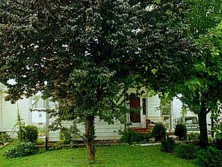 4209 Settle Rd, Cincinnati, OH 45227 photo 4