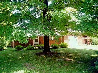 830 Youngs La, Cincinnati, OH 45245 photo 3