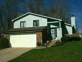3797 Grey Birch Ln, Amelia, OH 45102 photo 3