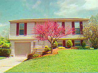 663 Regent Rd, Cincinnati, OH 45245 photo 2