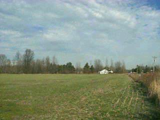 4775 Burdsall Rd, Jackson Twp, OH 45176 photo 3