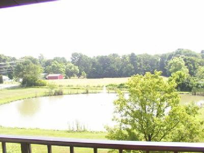 547 Davis Rd #11, Cincinnati, OH 45255 photo 3