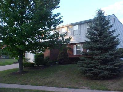 4234 Charm Ct, Batavia, OH 45103 photo 3