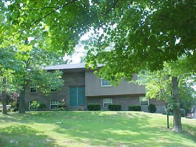 9741 Dick Rd, Harrison, OH 45030 photo 3