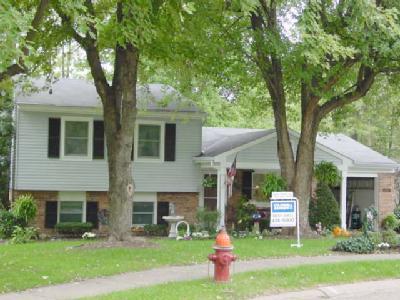 1087 Splitrail Dr, Batavia, OH 45103 photo 3
