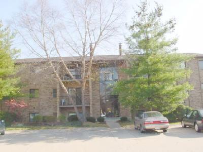 547 Davis Rd #10, Cincinnati, OH 45255 photo 3