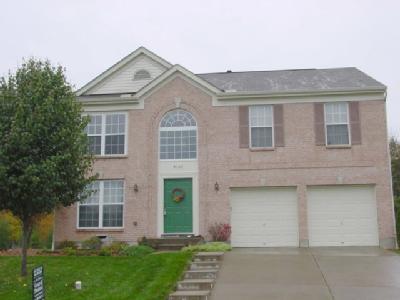 4167 Cannon Gate Dr, Cincinnati, OH 45245 photo 3