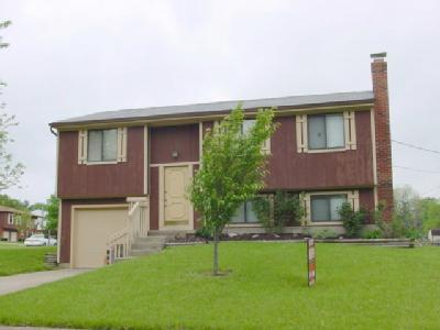 4209 Cannon Gate Dr, Cincinnati, OH 45245 photo 3