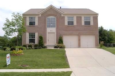 677 Regent Rd, Cincinnati, OH 45245 photo 3