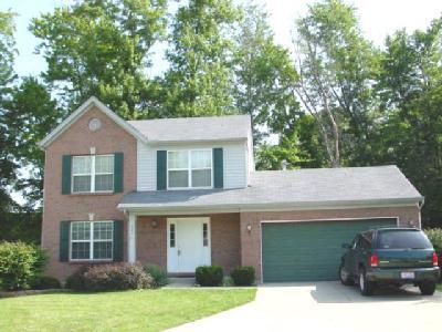 986 Vixen Dr, Cincinnati, OH 45245 photo 3