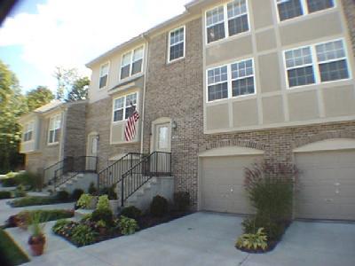 6559 Silverfox Dr, Cincinnati, OH 45230 photo 3